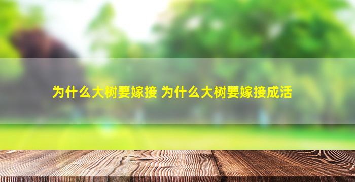 为什么大树要嫁接 为什么大树要嫁接成活